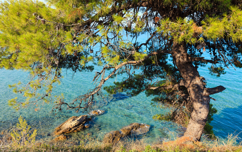 Hiking and Nature Trails