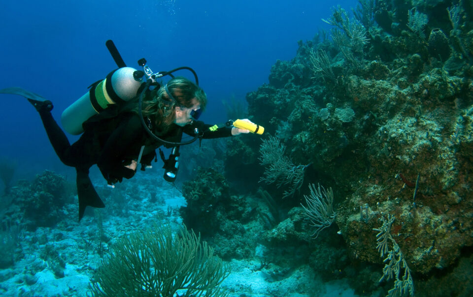 Scuba Diving in Kassandra