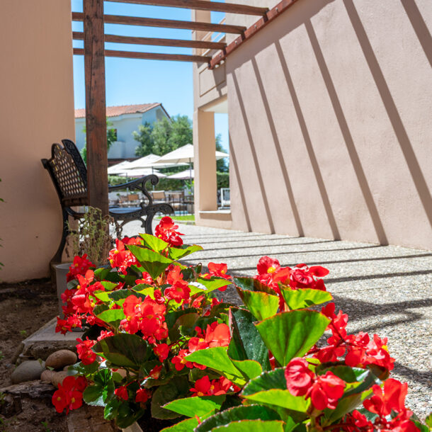 About Hotel Evridiki
