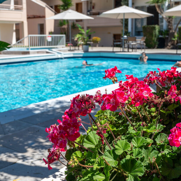 Swimming Poool - Hotel Evridiki